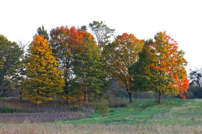 Path to Color