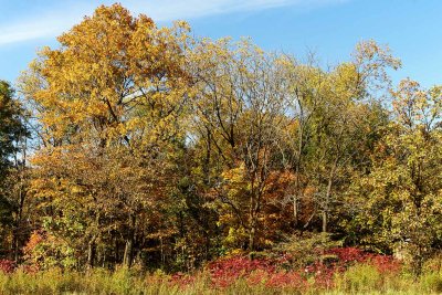 Fall at the Edge