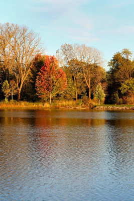Color Across the Lake