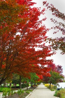Path to Fall