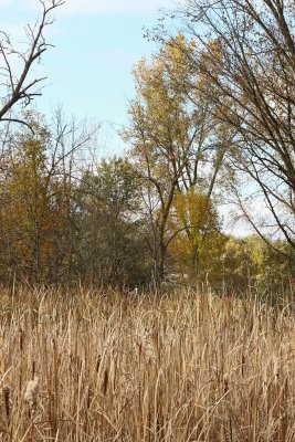 Ferson Creek Fall