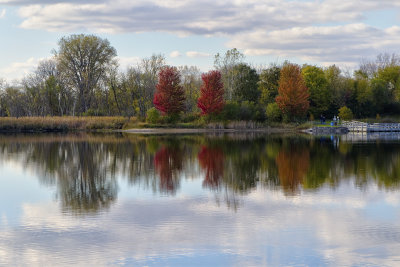 Fall on the Shoreline