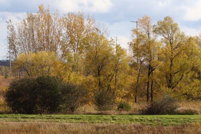 A Change in October
