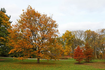 Following Fall