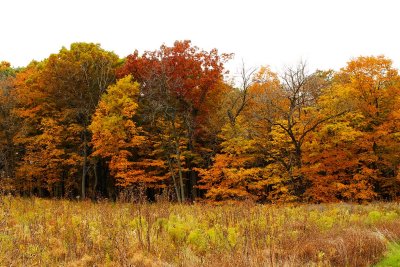 Fall Finale