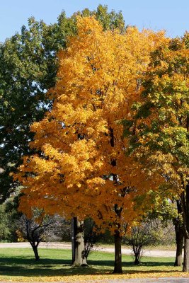 Middle of October