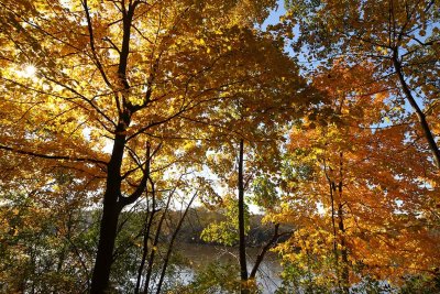 Colors of the Season