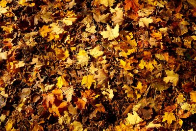 Fall on the Floor