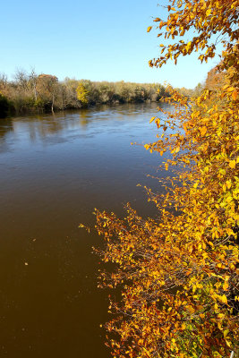 Flowing Past Fall