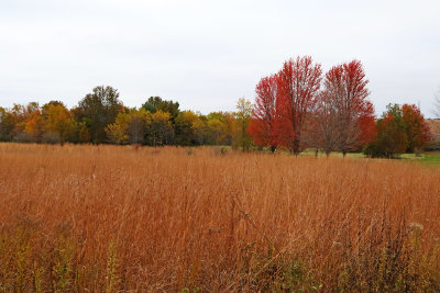 Color Past the Prairie