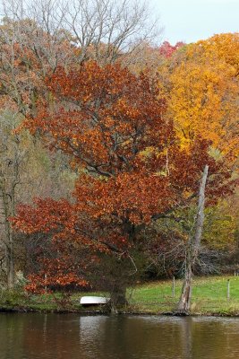 Fox River Fall
