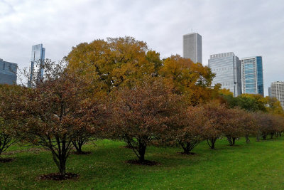 Fall in Grant Park