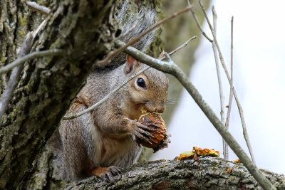 Stopping for a Snack