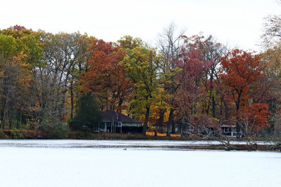 November Color