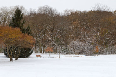 Empty Park