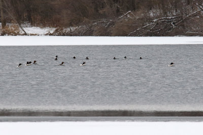 In Open Water