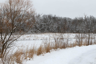 Following the Snow