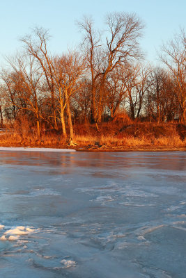 Bare on the Bank