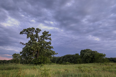 Clouds Coming In