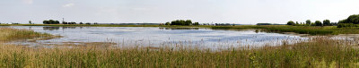 Waterfowl Sanctuary