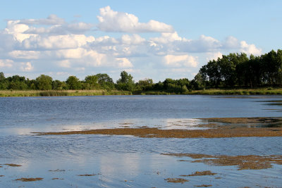 Small Lake Summer