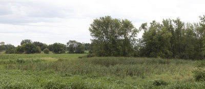 Rutland Bog