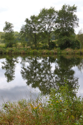 Pond at the Fen