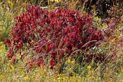 Fire on the Prairie