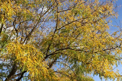 From Summer to Autumn