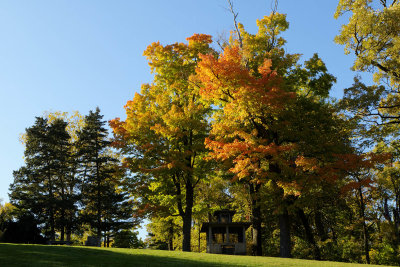 Color on the Hill