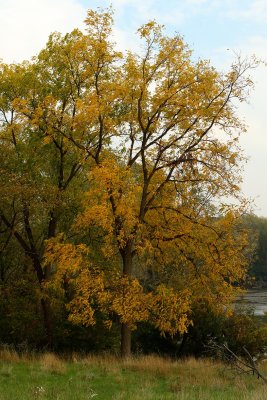 Fall Changeover