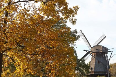 Fall at Fabyan