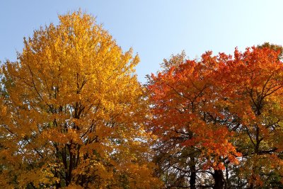 Color Creations
