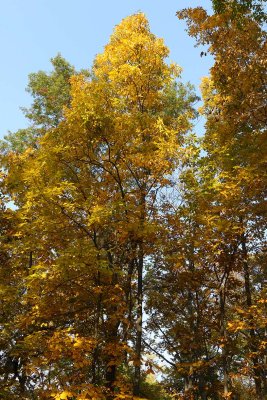 Crabtree Colors