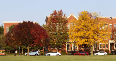 Suburban Autumn