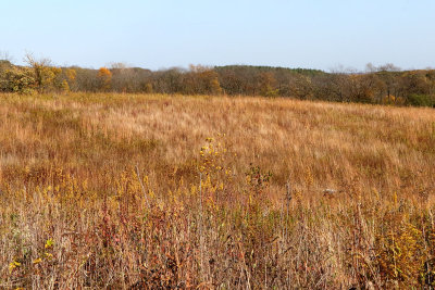 Fall on the Ridge