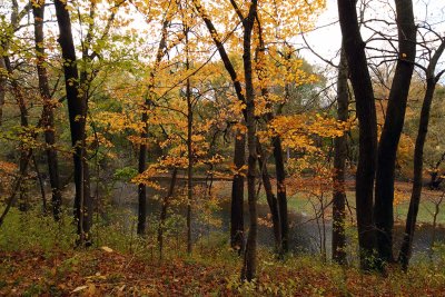 Color in the Valley
