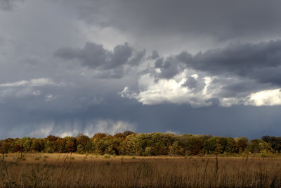 Color Beneath the Storm