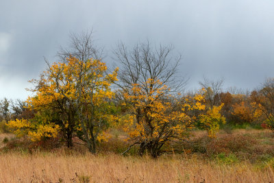 Color and Clouds