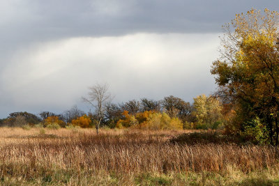 Sun and Storm
