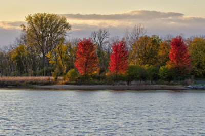 Late October Light