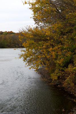 Fall Along the Fox
