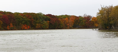Color Along the Shoreline