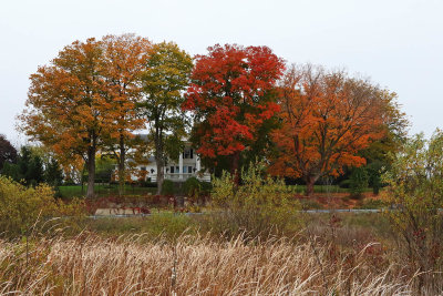 Color on the Hill