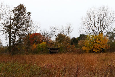 Fall at the Fen