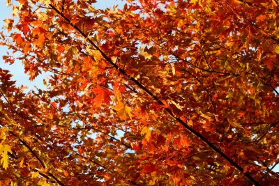 Sparks in October