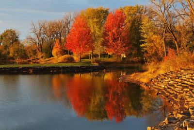 Reflections of Fall