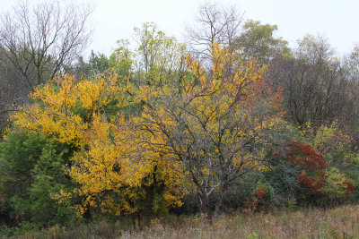 October Colors