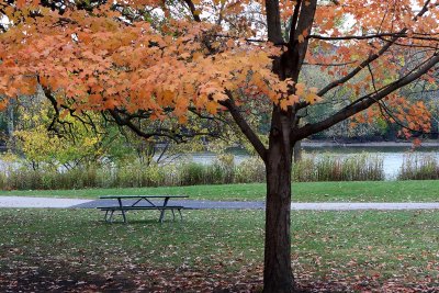 Fall Picnic