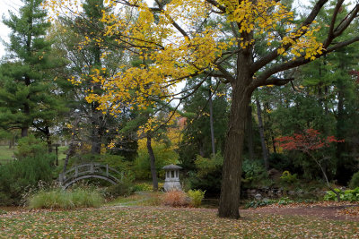 Fall in the Garden